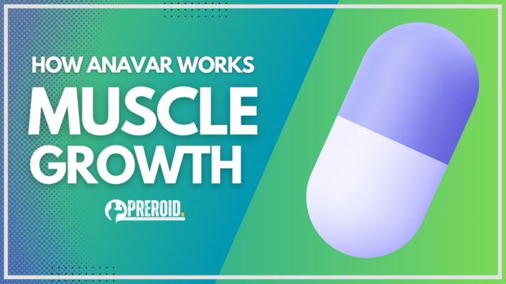 Clenbuterol benefits